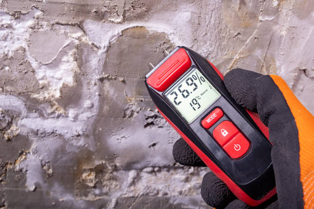Best Attic Mold Remediation in Steele Creek, AK