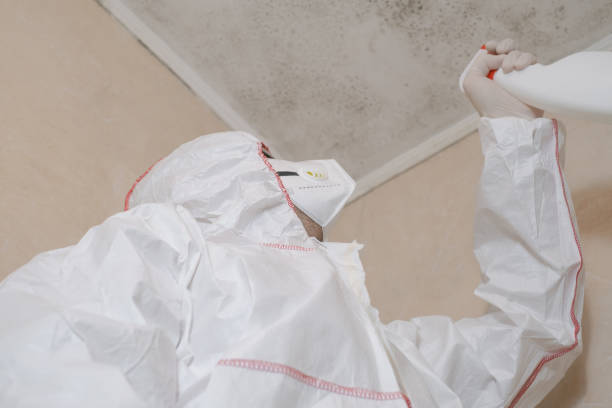 Best Preventive Mold Services in Steele Creek, AK